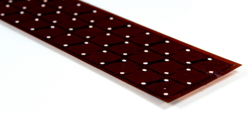 A 2021 photo of the DragonSCALES product.